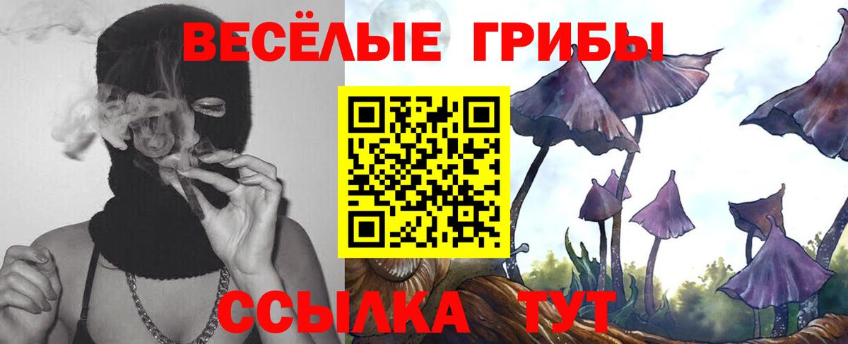 Галлюциногенные грибы GOLDEN TEACHER Гусев