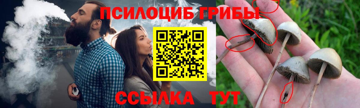 A PVP СК кристаллы  ГАШИШ  Канабис  Вход с VPN  Лсд 25  Кокаин  Гусев  МЕФ  