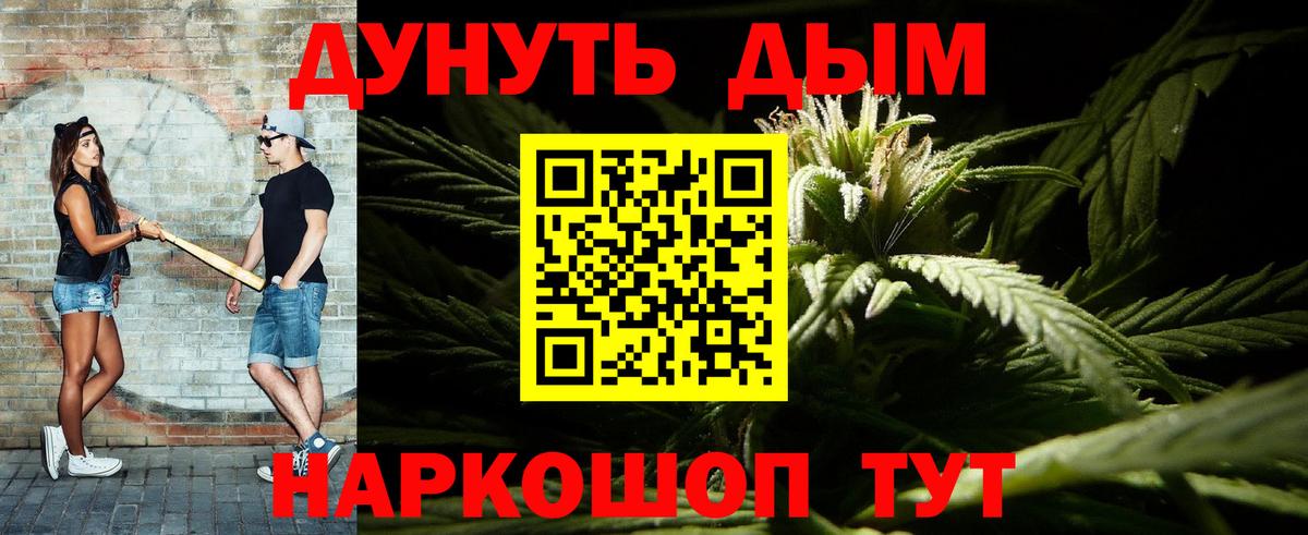 Канабис планчик Гусев